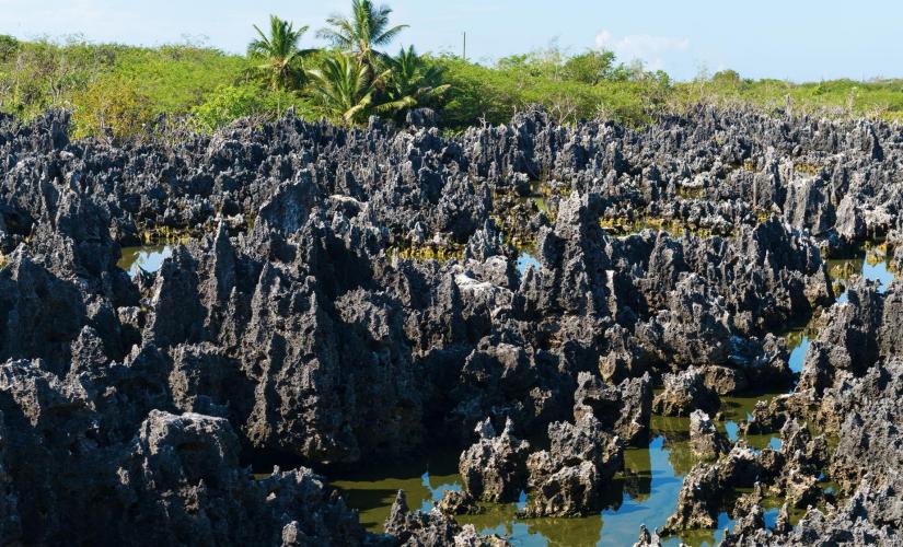 Private Grand Cayman Hell and Turtle Farm Orientation (Liang Zuiderdam Group 2026)