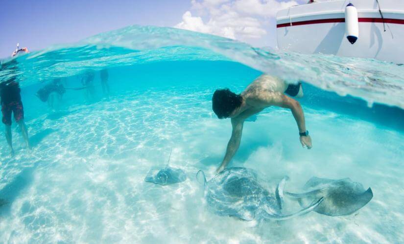 Stingray City and Snorkel with Beach Lunch