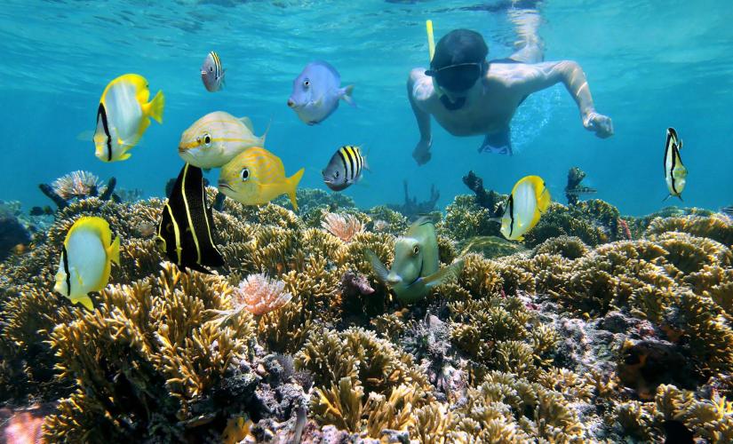 Private Gibbs Cay and Snorkel Tour in Grand Turk