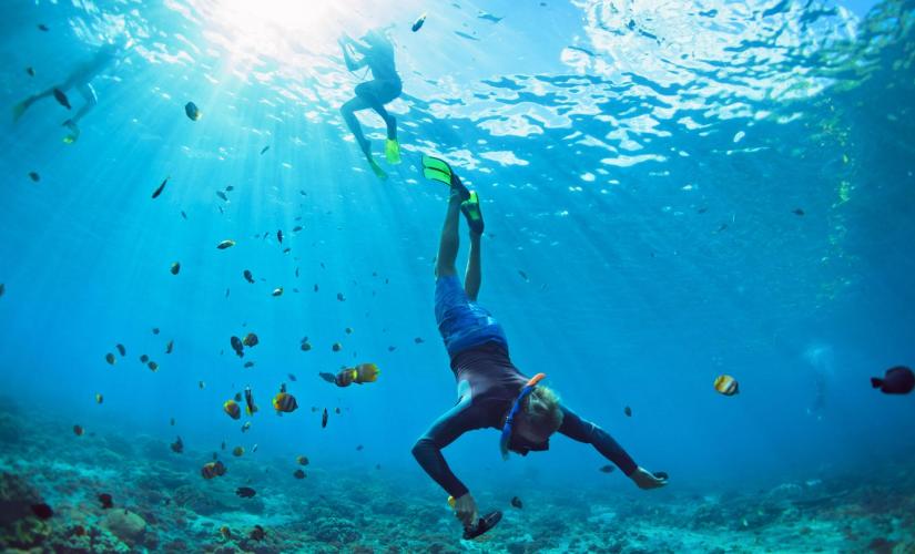 Caribbean Afternoon Snorkel and Sail in Key West (Historic Key West Seaport)