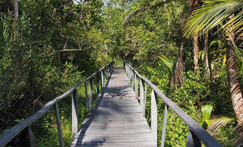 Puerto Limon Highlights City Tour and Coastal Drive in Costa Rica