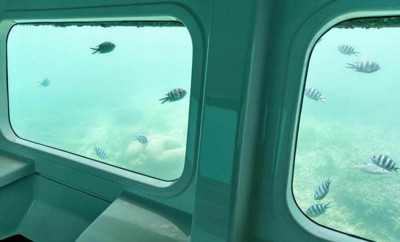 Bayahibe Semi Submarine and Snorkeling Adventure from La Romana