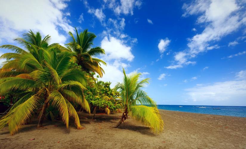 Best of Fort-de-France and Basseterre Two Port Package