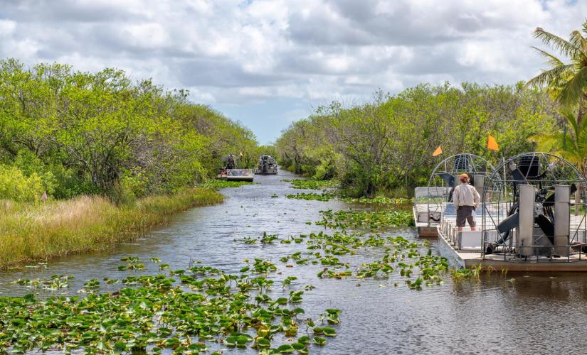 Explore the Everglades
