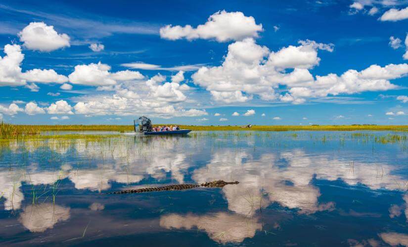 Private Miami Drive to Everglades with Airboat Ride (Hotel Guests)