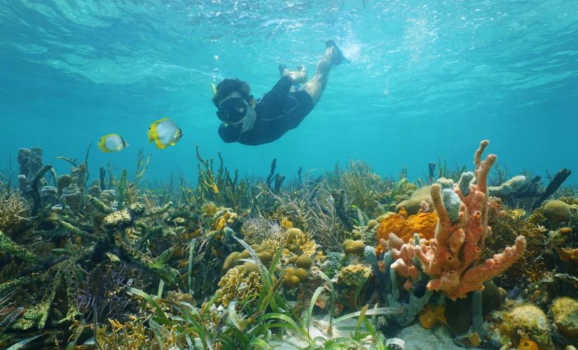 Snorkel at Creole Rock Tour in St. Martin (Simpson Bay, Marigot Harbor, Friar's Bay)