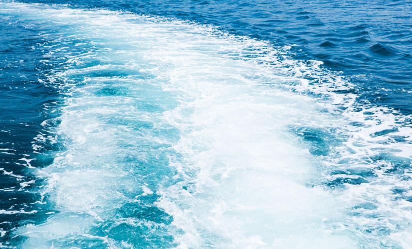Sea Screamer Speed Boat Ride with Transport from Orlando (Gulf of Mexico)