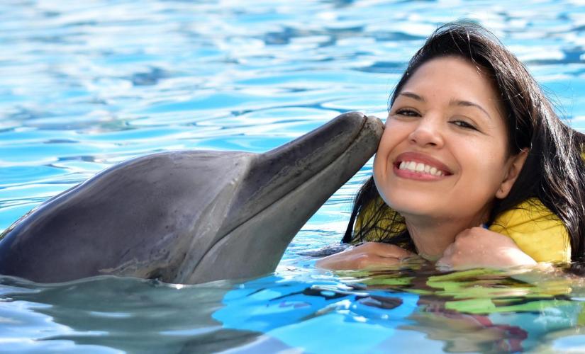 Dolphin Encounter in Ocho Rios