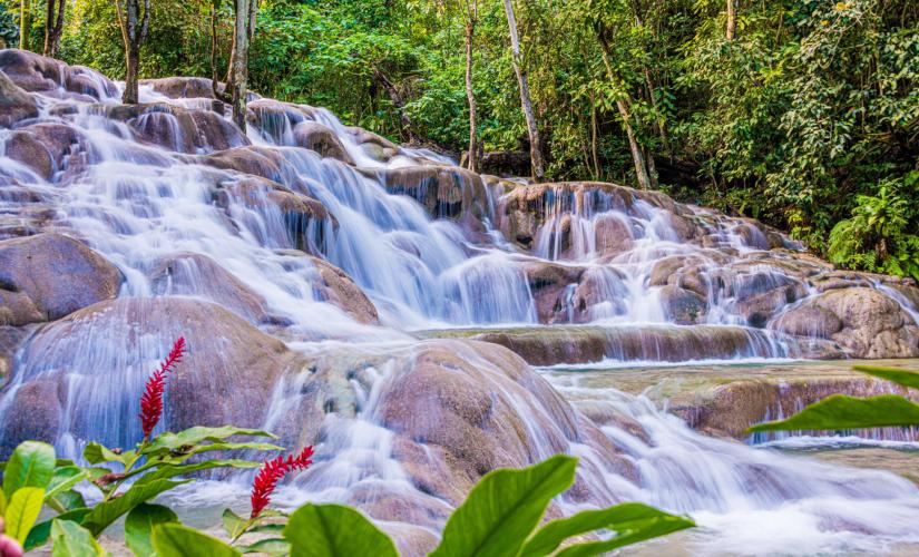 Blue Hole, Dunn's River Falls and Reggae