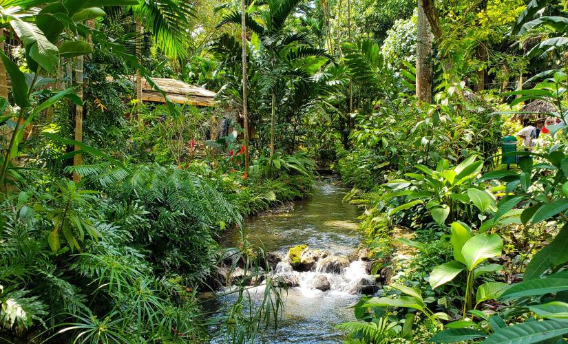 Konoko Falls and Garden