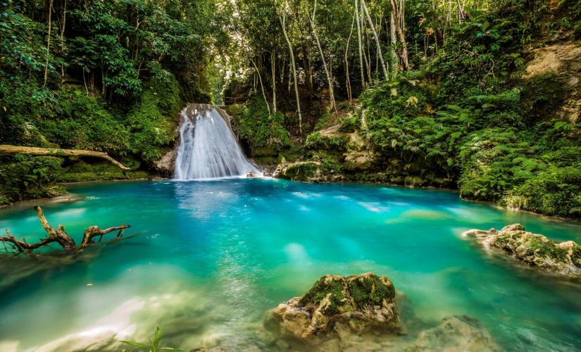 Blue Hole Adventure and Reggae