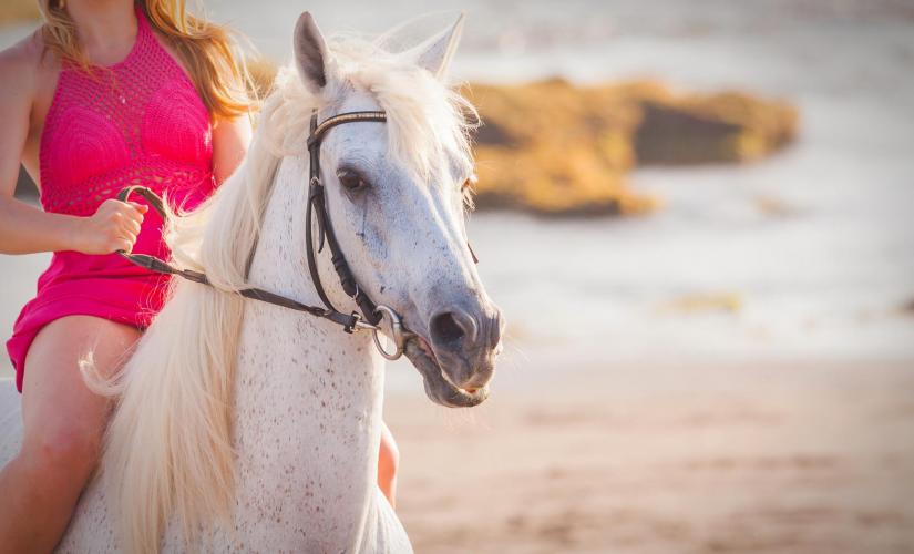 Trail and Beach Horseback in Ocho Rios