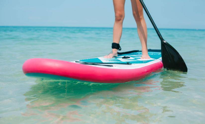 Small Group Beginner Stand Up Paddleboarding in Guadeloupe Mangroves