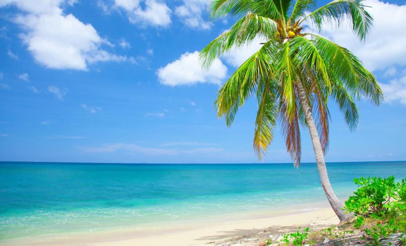 Progreso Beach Getaway (Beverage Package) in Progreso