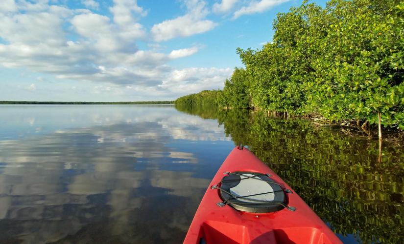 Estuary Kayak and Beach
