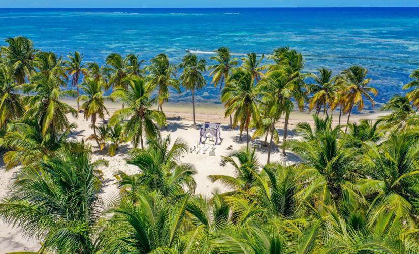 Isla Saona Speedboat Adventure Wildlife, Culture, and Lunch (Hotel Guests)