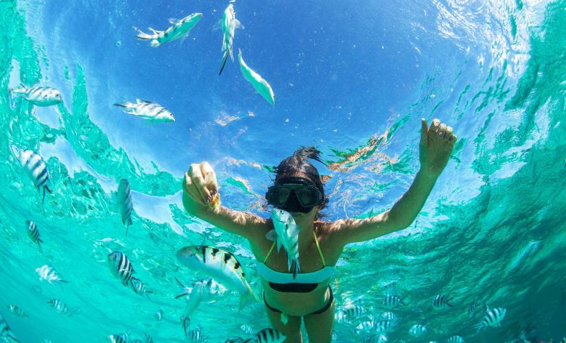 Island Boat Cruise, Igunana Park, Snorkeling and Beach