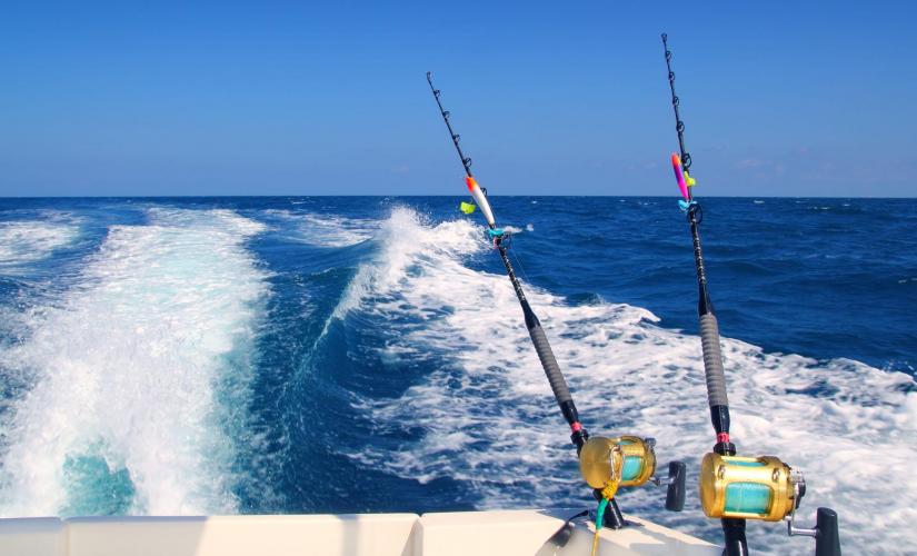 Fishing Charter Full Day