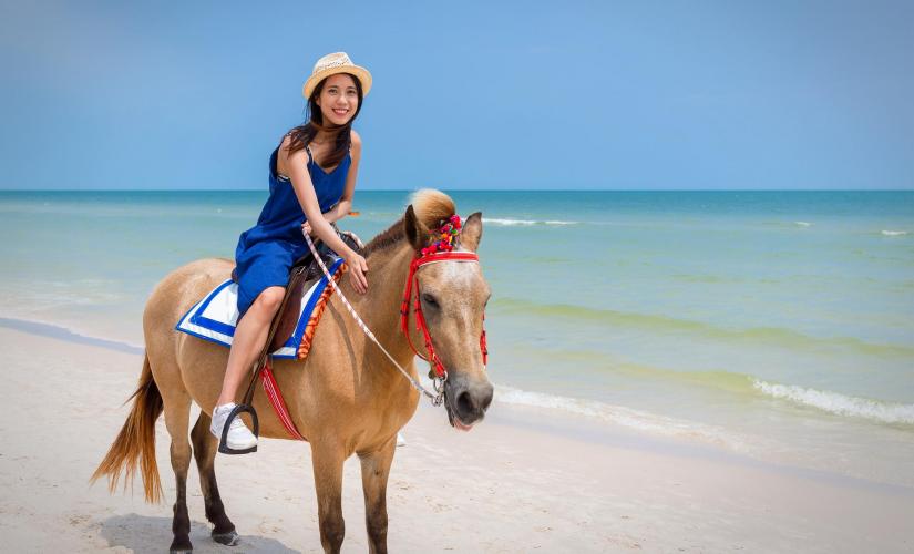 Private In Depth by Horse Tour in Samana (El Valle Beach, Lulu Waterfalls)