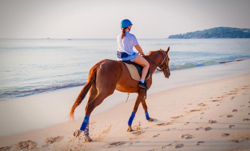 Horseback Riding, Zip and Waterfall Tour in Samana