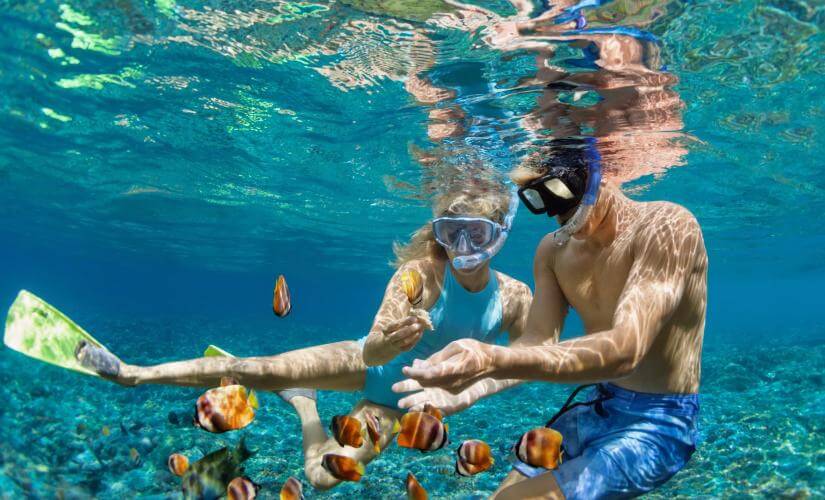 Snorkeling and Sights of Saint Kitts