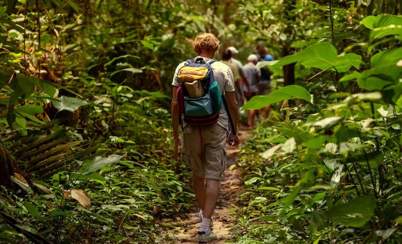 Private Hiking the Rainforest Adventure (Marissa Canida Group 2024)