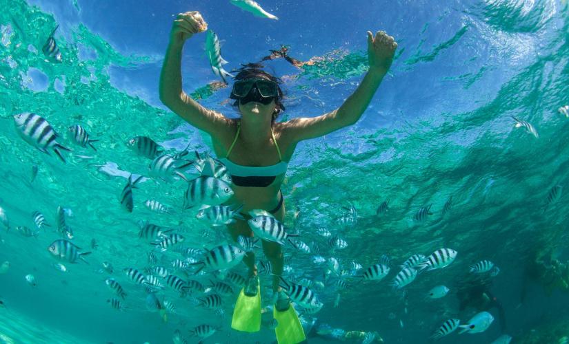 St Lucia Snorkeling Excursion to Marigot Bay