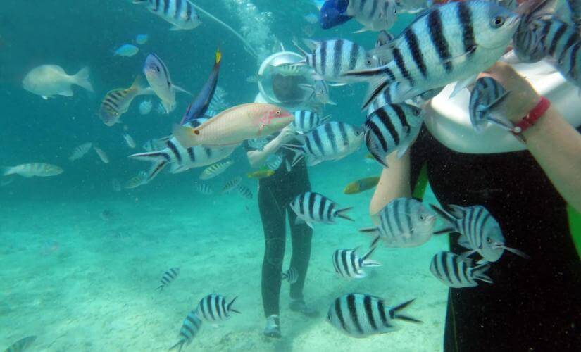 St Lucia Underwater SeaTrek