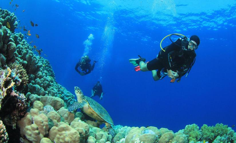 St. Thomas Certified Beach Dive | Cruise Port Tours