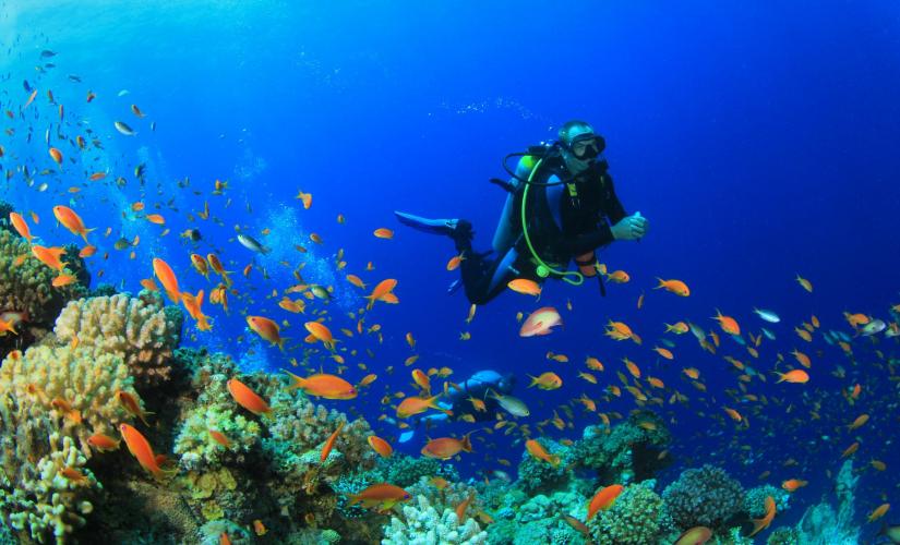 St. Thomas Small Group Certified Boat Dive Excursion with PADI Instructor