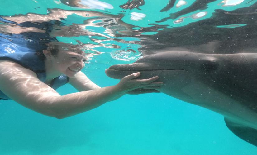 Dolphin Swim and Coral World