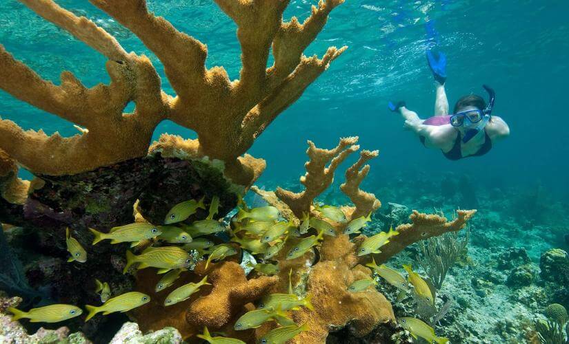 Mangrove Lagoon Kayaking & Snorkeling Adventure in St. Thomas