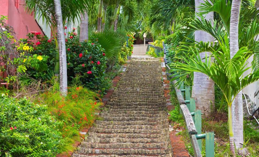 Mountain Top Sightseeing & Shopping at Charlotte Amalie Day Trip in St. Thomas