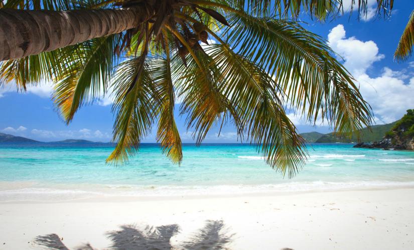 Tortola Beach Day