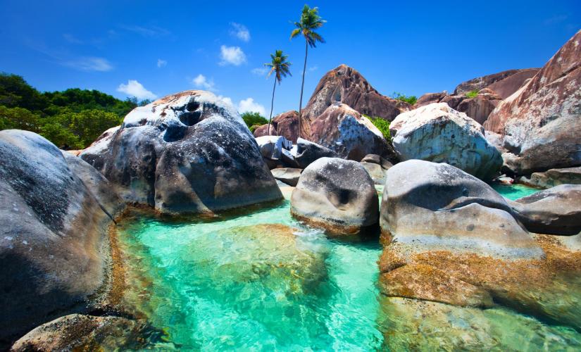 The Baths Discovery