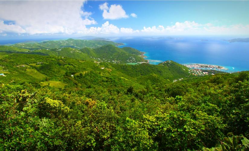 Scenic Mountain View Tour