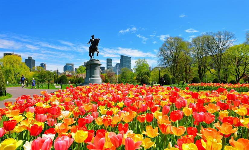 Boston Freedom Trail Walking Photo Tour - Boston