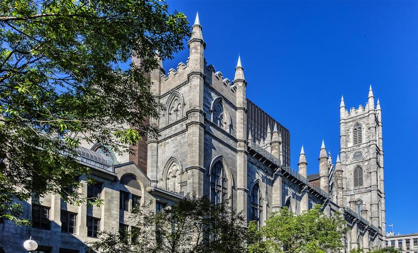 Montreal Hop-On Hop-Off Bus Tour (Notre Dame Basilica, Old Port of Montreal)