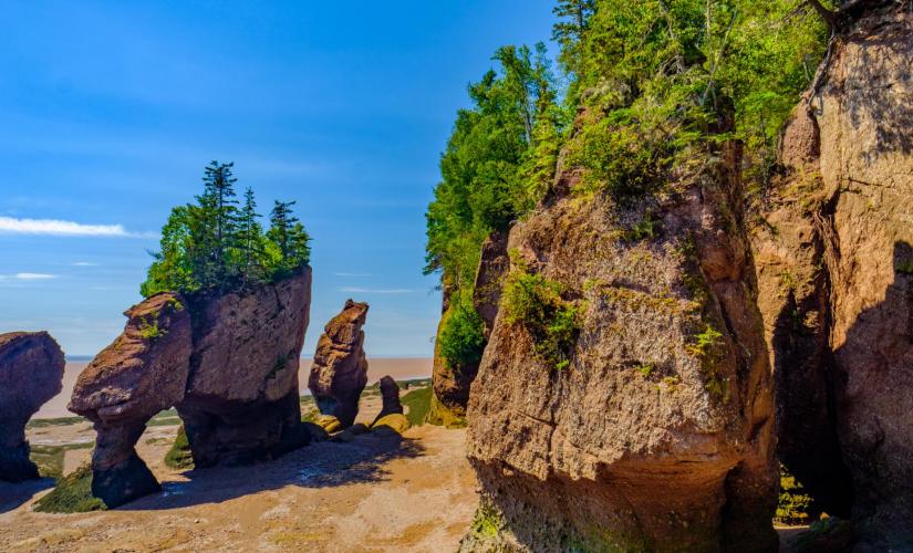 Private Top 10 Highlights and Bay of Fundy