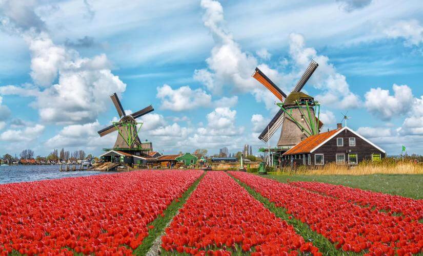 Private Amsterdam's Golden Age on Foot