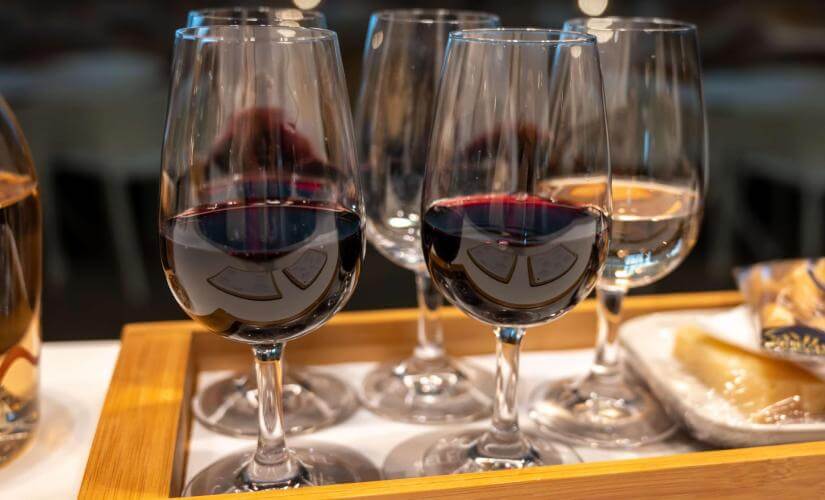 Catalonia Winery Visit and Tasting at Familia Torres