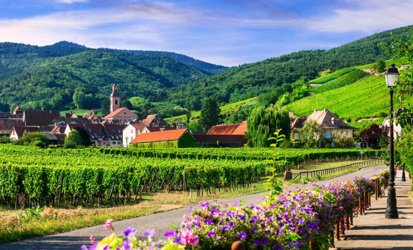 Full Day Wine Tasting Tour To Alsace