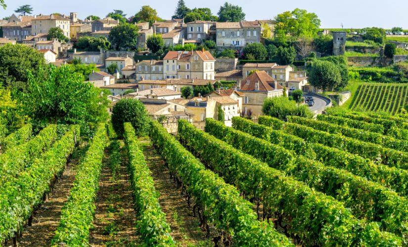 Private Tour in the Medoc Region with Lunch and Roundtrip Airbnb Transportation (Diaz Party 2026)