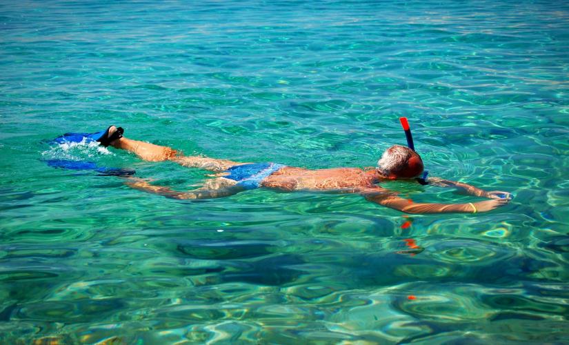 Boat Tour and Snorkel Adventure
