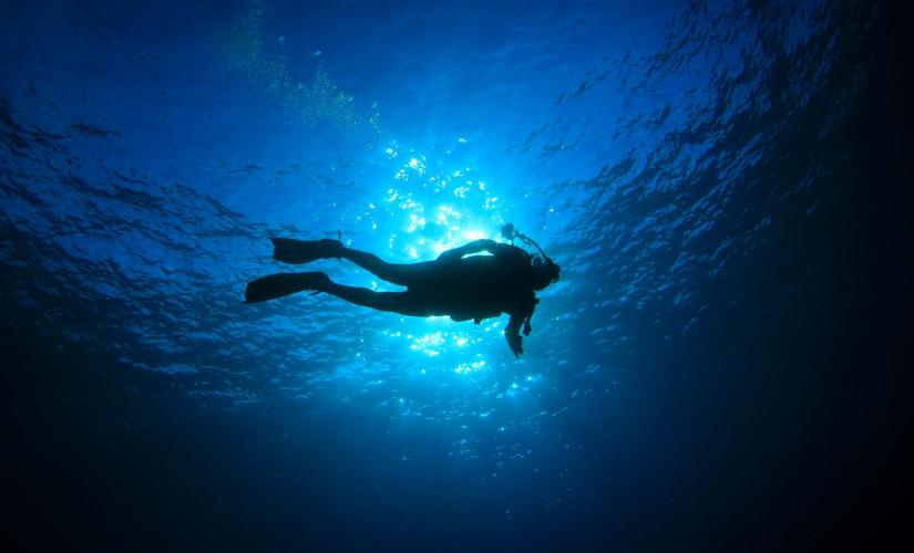 Elephant's Cave Dive Experience