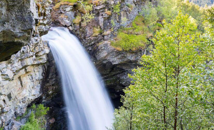 Private Waterfall Hike and Westeras Farm