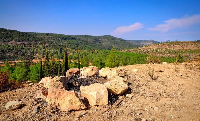 Private Safed, Kibbutz and the Golan Heights Tour from Haifa (Upper Galilee)