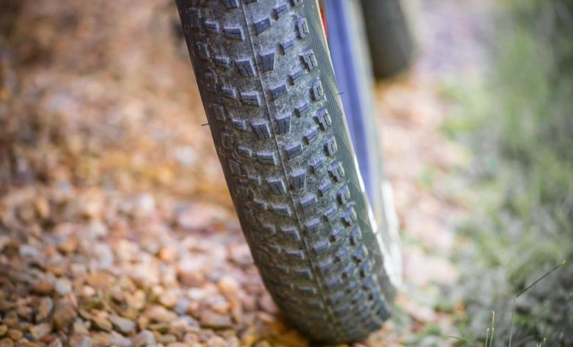 Private Helsinki Nature by Fatbike