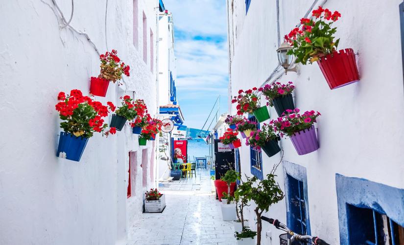Aegean Delights with Lunch