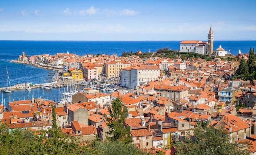 Flavors of Koper Cultural Stroll